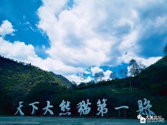 许冠文早年加入无线电视,被人称作喜剧之王,才能非常全面